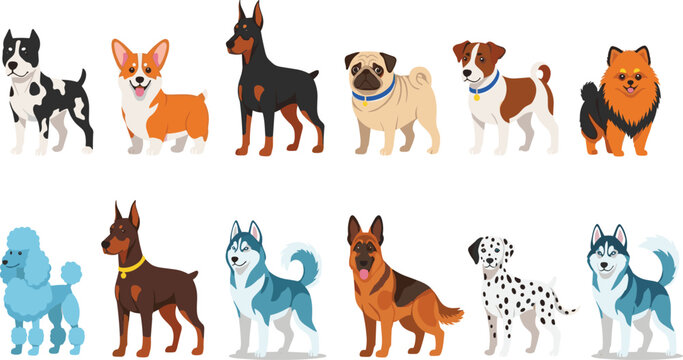 Cute Dog Breeds Collection Set Featuring Husky Corgi Doberman Pug Bulldog and Pomeranian in Flat Cartoon Style Vector Illustration.