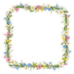 Fototapeta premium Floral wreath circle with wildflowers and greenery isolated on transparent background
