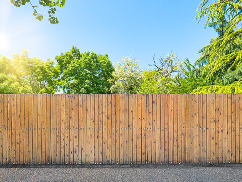Wooden fence in green garden under blue sky with sun