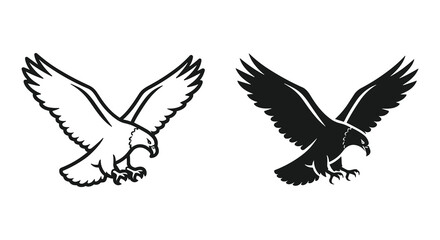 Obraz premium Black and White Images of Eagles in Flight with Wings Extended