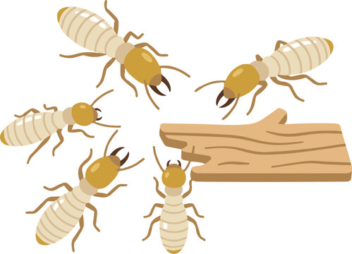 Vector EPS illustration of termites feeding on a wooden log, showing different termite types including workers and winged termites in a simple cartoon style.
