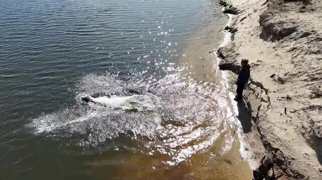 Dog jumping into water to retrieve stick in active outdoor setting