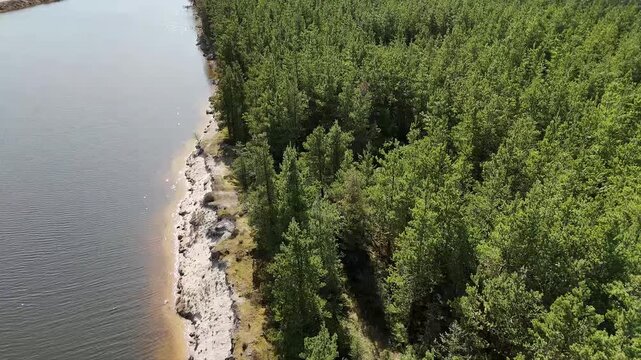 Slow motion aerial drone shot rising over forest revealing beach and water landscape