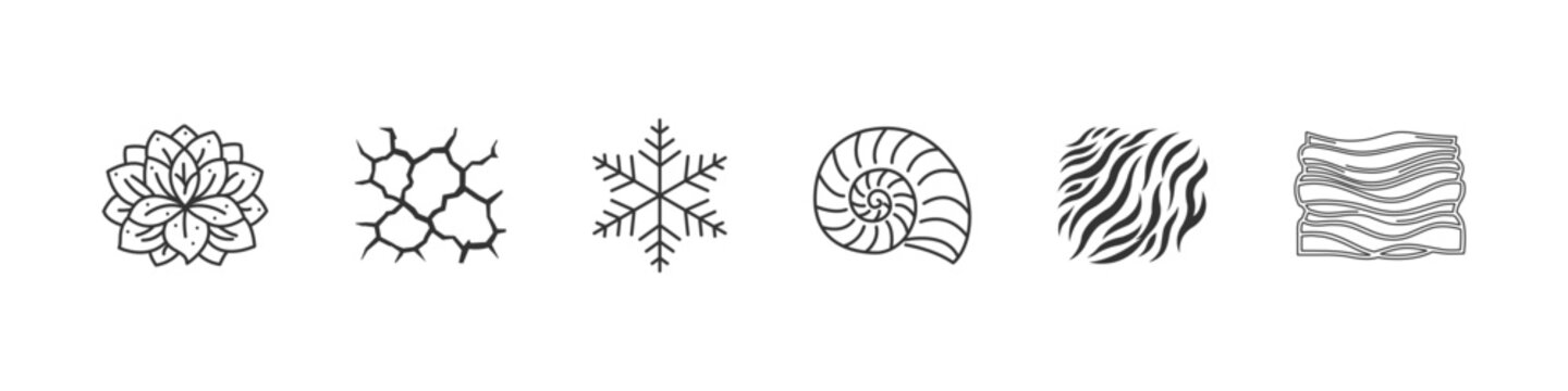 Diverse natural patterns and textures in a simple line style. Vector illustration. EPS 10.