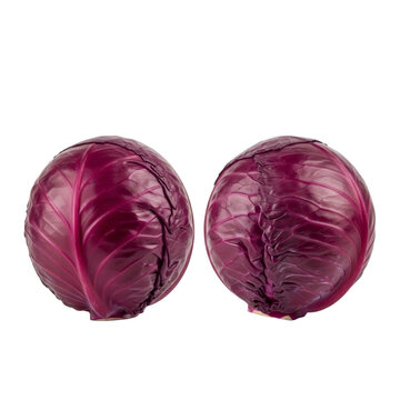 Two red cabbages isolated on transparent background