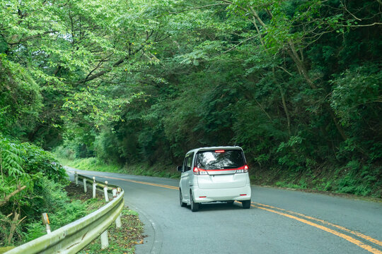 車　ドライブ　新緑　山道　カーブ