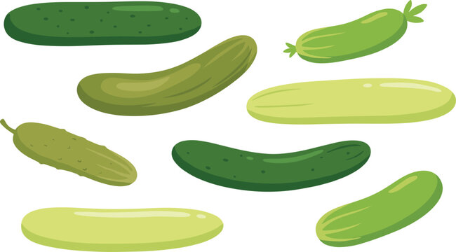 Collection of fresh cucumber illustrations in various shapes and green tones, flat vector vegetable set for healthy food and organic farming design