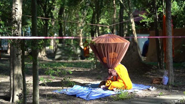 Forest tents, hanging robes and shaded paths create a clear retreat backdrop. The natural scene suits meditation and religion content.