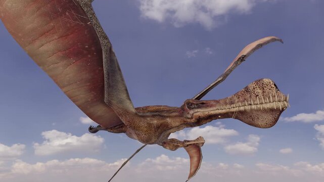 4K, 10-second 3d animation capturing a flock of Thapunngaka shawi pterosaurs soaring gracefully through a dynamic prehistoric sky over an ancient landscape.