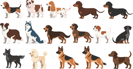 Large Dog Breeds Collection Featuring Beagle Bulldog Spaniel Dachshund Husky German Shepherd and Mixed Breeds in Flat Cartoon Style Vector Illustration. © MstSuborna