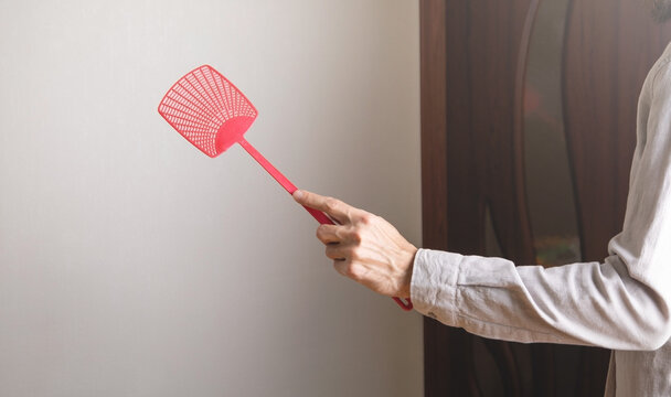 Caucasian man holding a fly swatter.