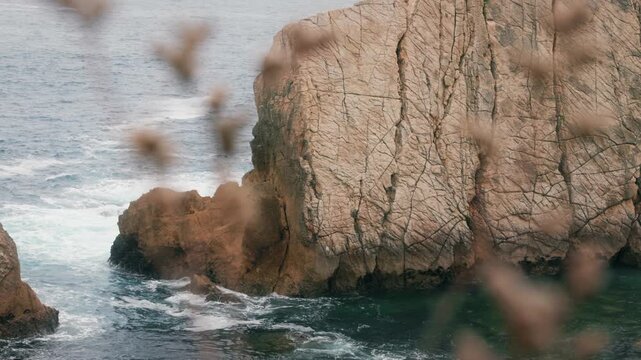 Static shot of coastal rock at La Arn&iacute;a Beach with waves crashing and soft foreground plants creating depth