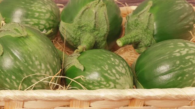 Fresh green Thai eggplants, organic ingredients Solanum melongena