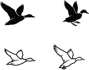 Obraz premium Four ducks in flight with different designs and colors