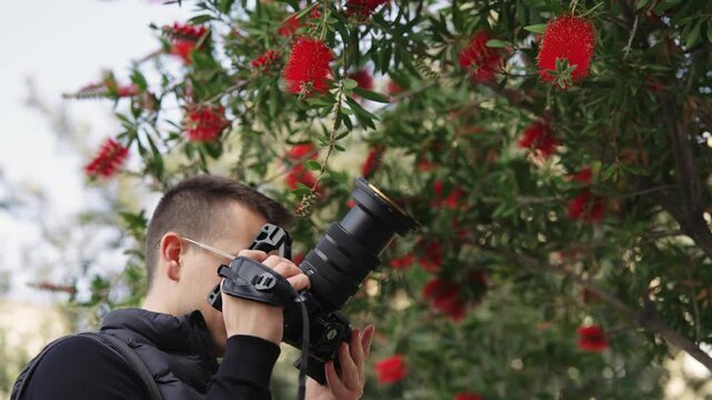 Photographer Capturing Vibrant Bottlebrush Flowers in Sicily