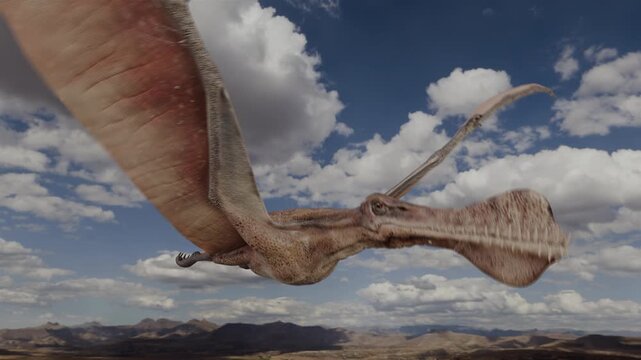 4K, 12-second 3d animation of Thapunngaka shawi pterosaurs soaring gracefully through a dynamic prehistoric sky over an ancient landscape.