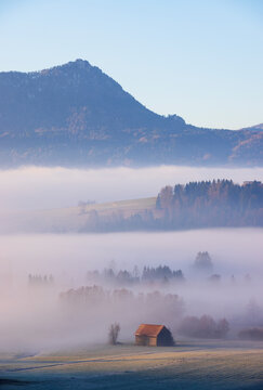 Barn and trees in morning fog in Salzkammergut Austria landscape