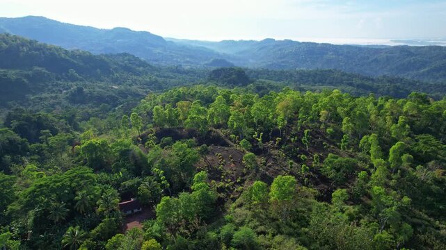 Aerial drone footage of Fatumetan remote local village wild forest, surrounded by hills, at sunrise, in Kupang regency, Timor island, Indonesia