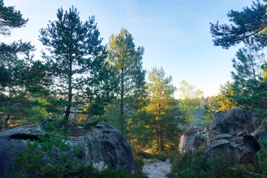 The Rouget hill in the Trois Pignons forest. Fontainebleau Massif
