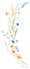 Obraz premium Floral bouquet with yellow and light blue watercolor wildflowers, spring wedding illustration