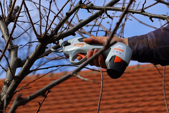 Spring gardening, pruning fruit trees, pruning branches with a Stihl electric pruner