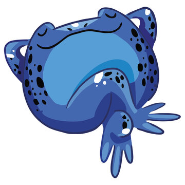 Sapo Azul