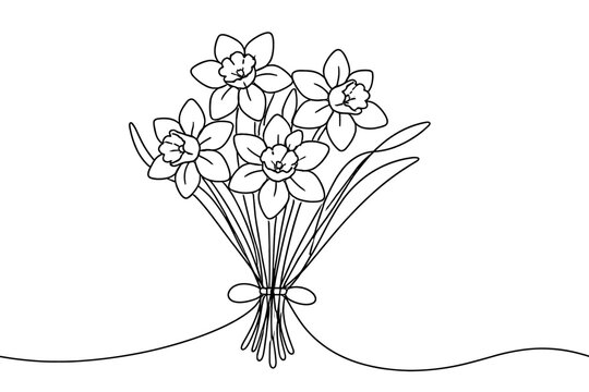 Continuous Line Drawing of a Bunch of Narcissus Flowers, Elegant Daffodil Bouquet Line Art Vector Illustration, Minimalist Spring Floral Design for Greeting Cards, Posters, and Modern Home Decor