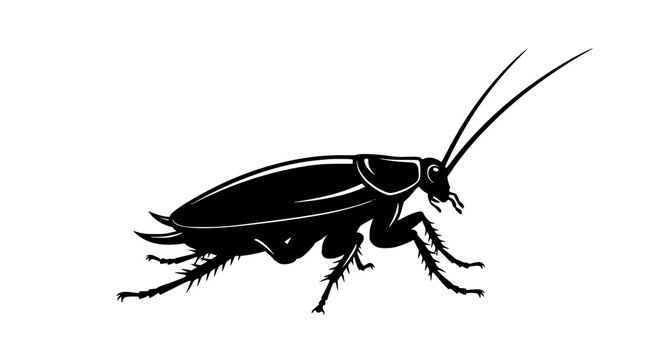 Cockroach Silhouette Crawling Side View Pest Insect Vector Illustration on White Background