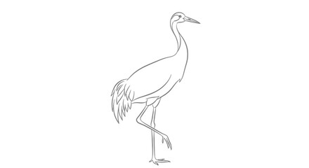 Fototapeta premium Elegant Crane Bird Line Drawing, Minimalist Animal Illustration, White Background