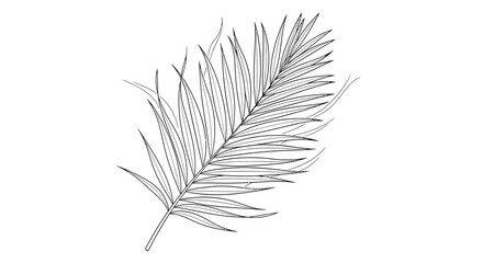 Obraz premium Minimalist Palm Frond Line Art Illustration