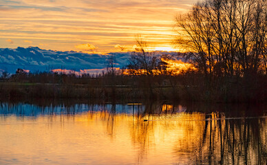 Naklejka premium Sunset with tree silhouettes near Wallersdorf, Dingolfing, Landau, Bavaria, Germany
