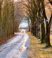 Fototapeta premium Winter landscape on a sunny day near Wallersdorf, Dingolfing, Landau, Bavaria, Germany