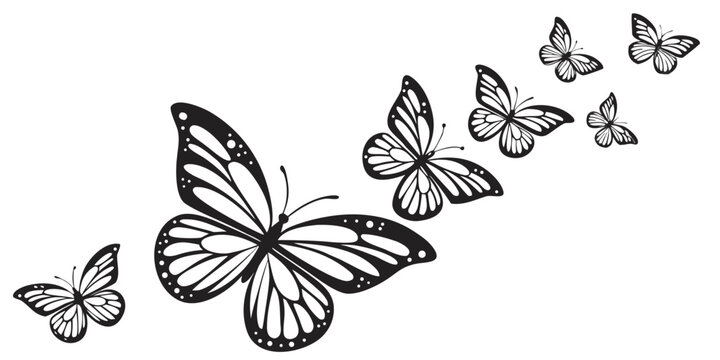 Detailed black and white butterfly line art illustration showing monarch style butterflies flying in a diagonal path sequence for artistic design and decoration with butterfly, sequence