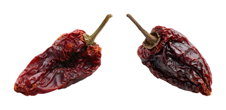Dried Ancho Chili Peppers Set isolated on transparent background