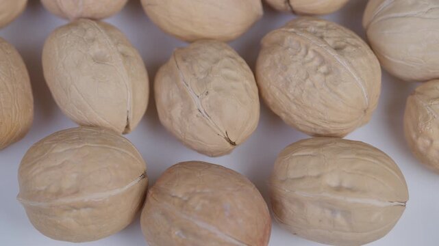 Walnut shells closeup. Repetitive pattern of rustic dry walnut shells on white background. Detailed view of dry walnut shells with warm beige shades and textured surface