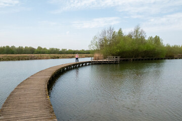 Naklejka premium adult woman Walking On Curved Wooden Boardwalk Over Calm Lake Surrounded By Spring Trees