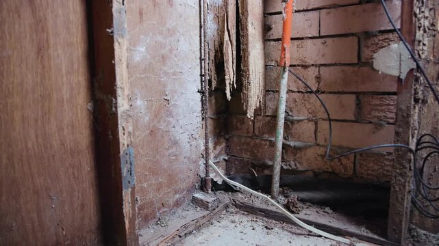 The remains of a stud wall after a white ant infestation.