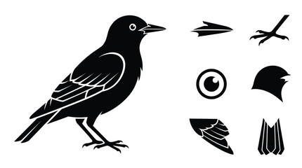 Obraz premium Blackbird vector illustration set featuring bird body head with beak eye wing and bird tail icons isolated on white background profile