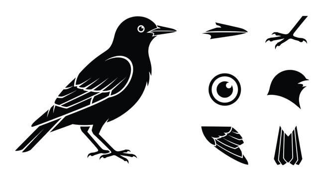 Blackbird vector illustration set featuring bird body head with beak eye wing and bird tail icons isolated on white background profile