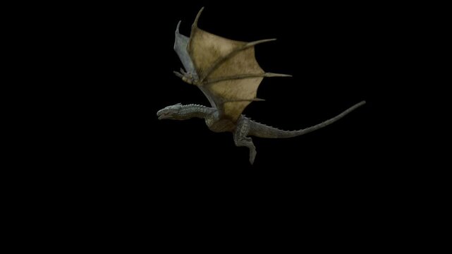 Realistic Dragon flying and waving his wings isolated on black with alpha channel. Seamless Loop.