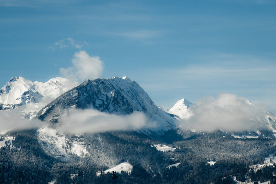 View of snow-capped mountains pierce the crisp blue sky, nestled above a sea of evergreen trees, a serene landscape in Train from Lucerne to Interlaken, Switzerland.