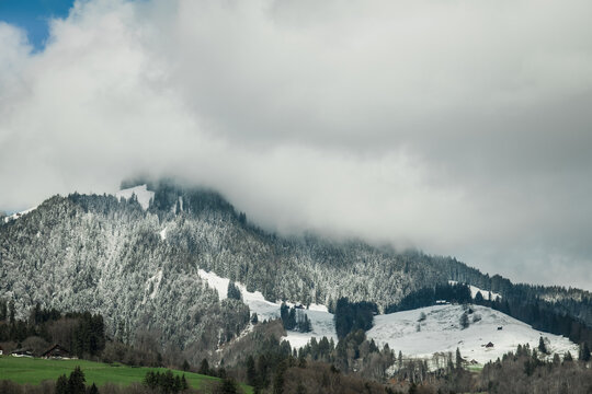 View of snow-dusted evergreens clinging to the slopes of a majestic mountain, shrouded in ethereal clouds, as seen from a train, Train from Lucerne to Interlaken, Switzerland.