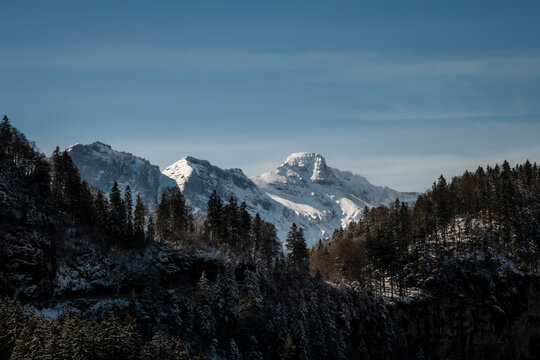 View of snow-laden evergreens frame a majestic mountain range under a clear, azure sky in Train from Lucerne to Interlaken, Switzerland.
