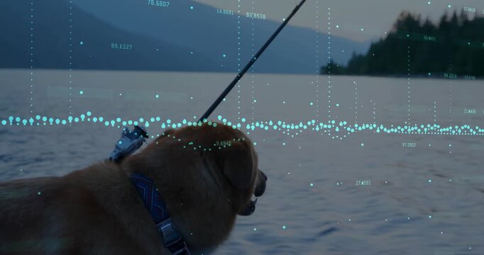 Yawning dog on drifting boat on dusk lake turning head toward fishing rod and data overlay