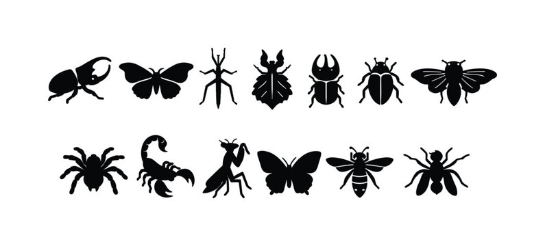 Collection of black insect silhouettes including beetles, butterflies, scorpions, and spiders