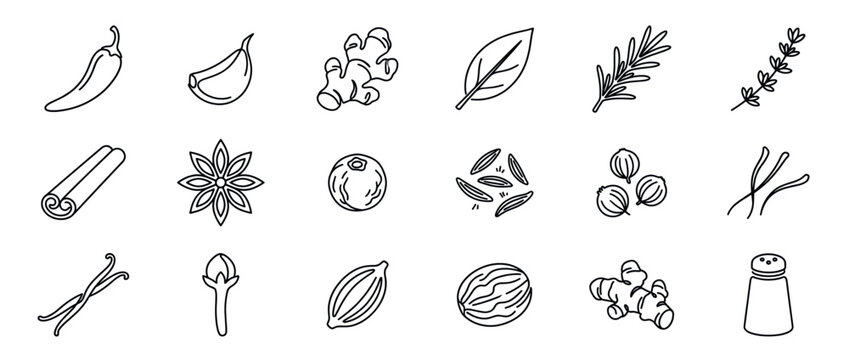 Collection of various hand-drawn line art spice and herb icons, including chili, garlic, ginger, and rosemary, presented in a clean, minimalist style