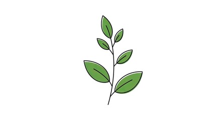 Fototapeta premium Minimalist green plant illustration on white background for various designs