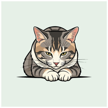 Colorful cat sitting on floor.