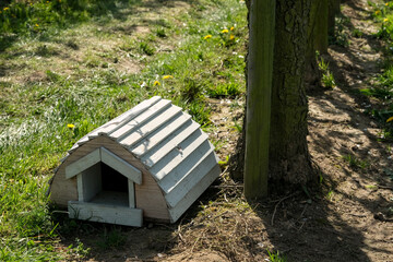 Small wooden hedgehog house set at the base of a tree, surrounded by grass, soil, and spring dandelions in a natural garden setting. © Igor