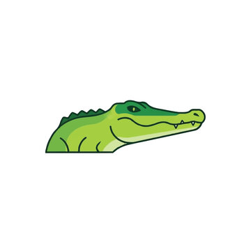 Green cartoon alligator head side view.